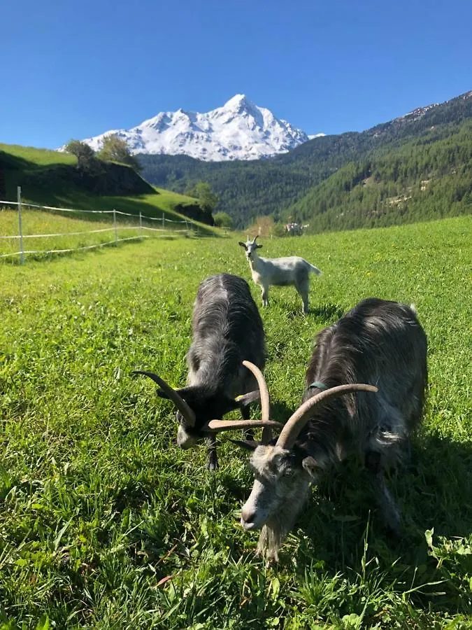 Granbichlhof Daire Sölden