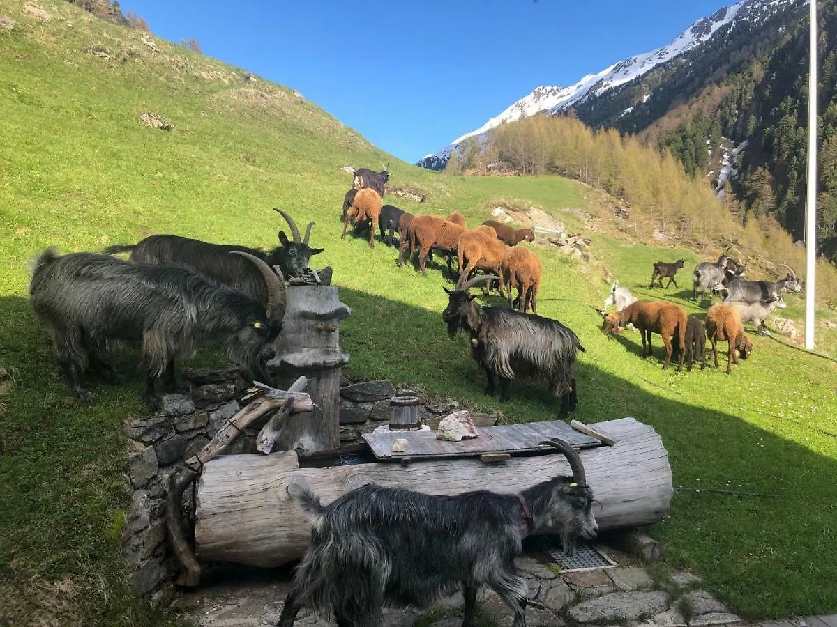 Granbichlhof Daire Sölden
