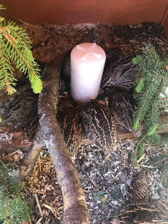 Granbichlhof Daire Sölden Avusturya